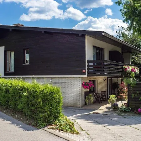 Vive Apartment