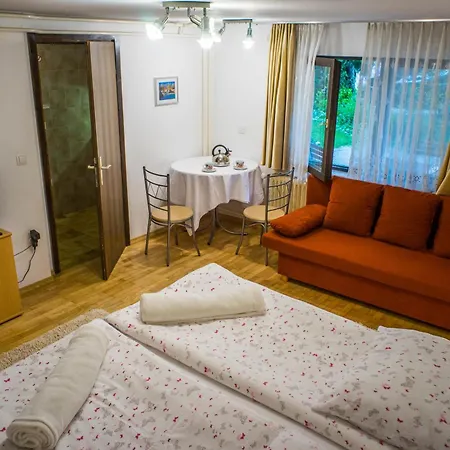 Vive Apartment *
